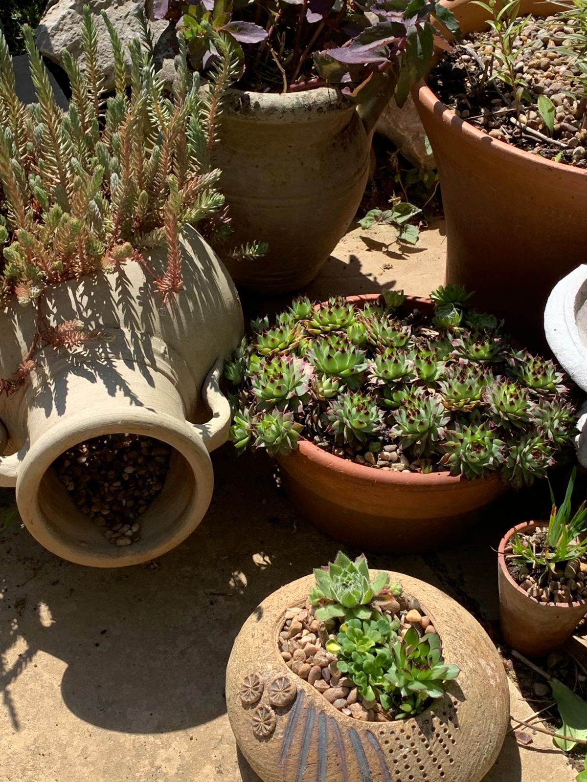 Vue Du Vallon Handyman - gardening